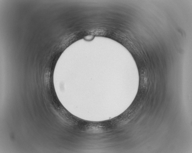 X0000115350263200912151342