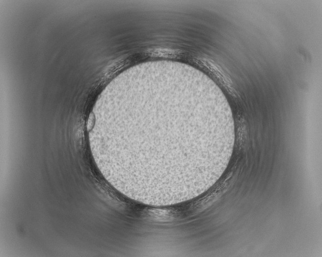 X0000115350265200912151342