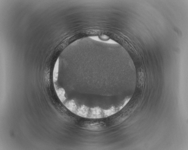 X0000115350267200912151342