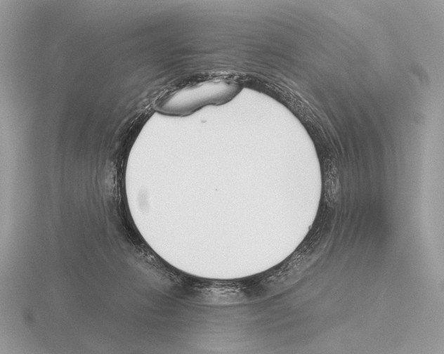 X0000115350270200912151342