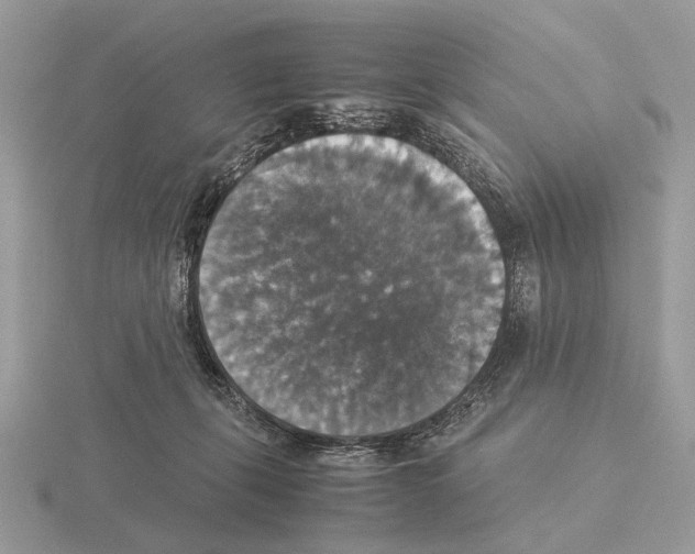 X0000115350271200912151342