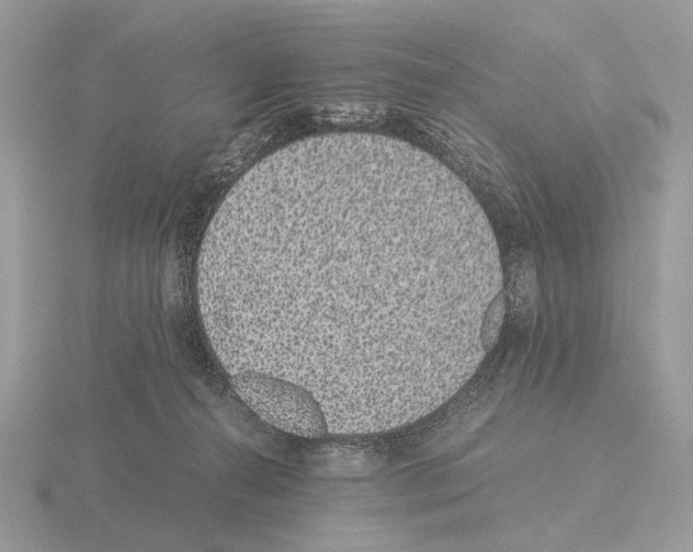 X0000115350272200912151342