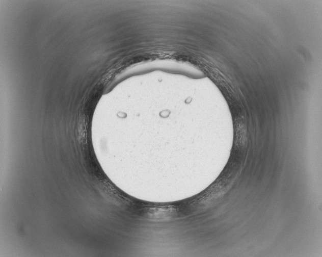 X0000115350274200912151342