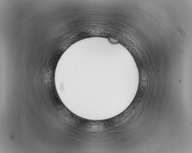 X0000115350275200912151342