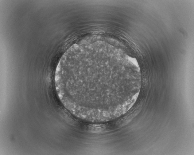 X0000115350277200912151343