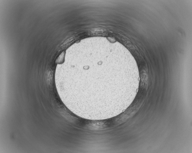 X0000115350278200912151343