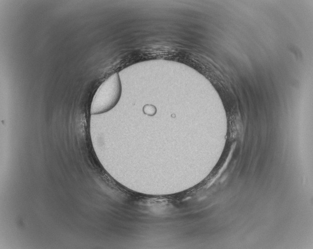 X0000115350279200912151343