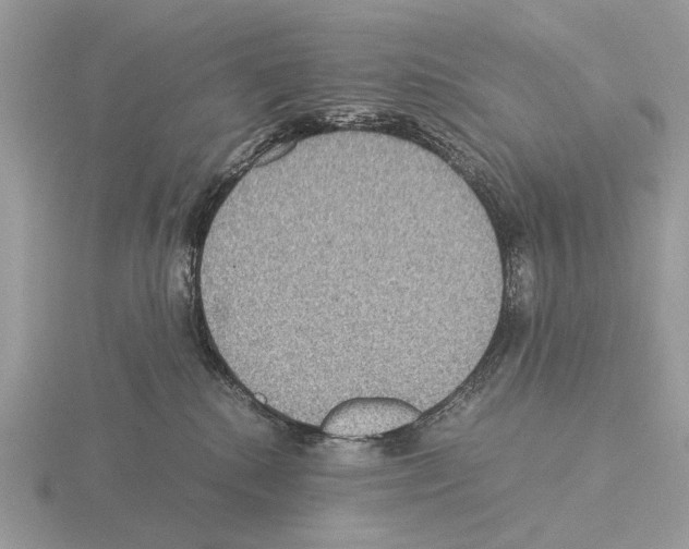 X0000115350280200912151343