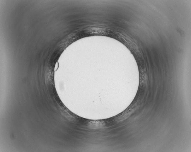 X0000115350281200912151343