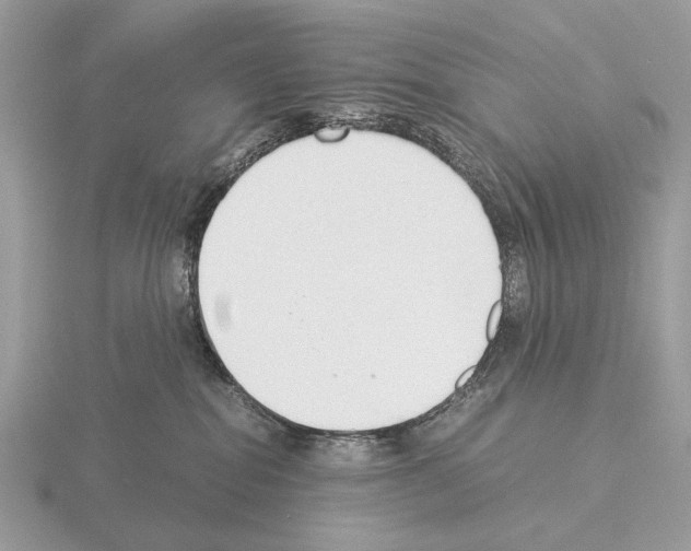 X0000115350282200912151343