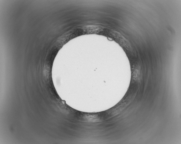 X0000115350283200912151343