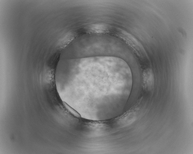 X0000115350284200912151343