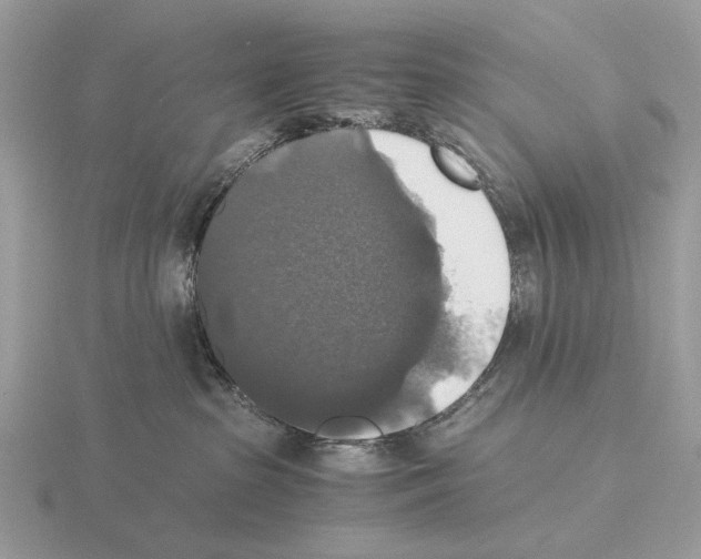 X0000115350285200912151343