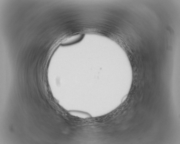 X0000115350289200912151342