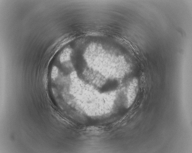 X0000115350290200912151342