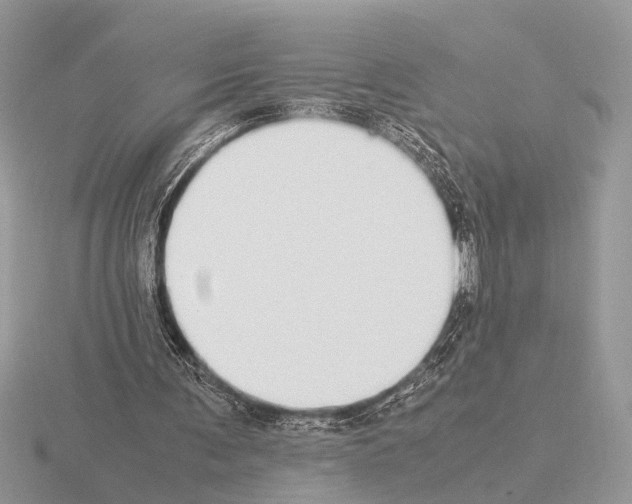 X0000115350291200912151342