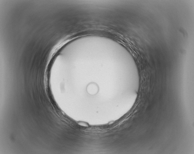 X0000115350294200912151342