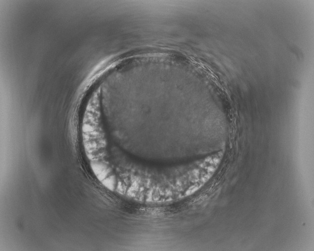 X0000115350295200912151342