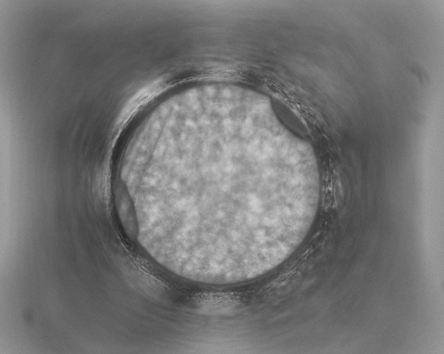 X0000115350296200912151342