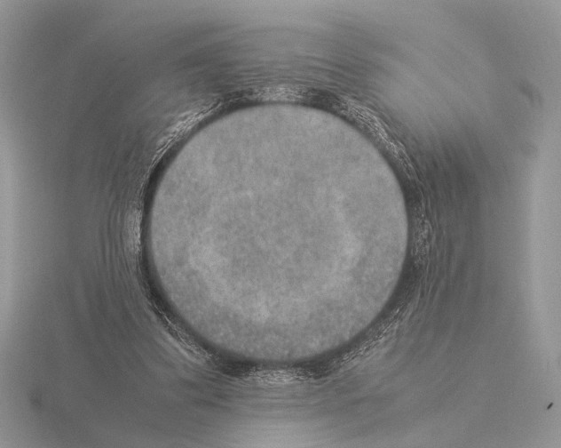 X0000115350299200912151342