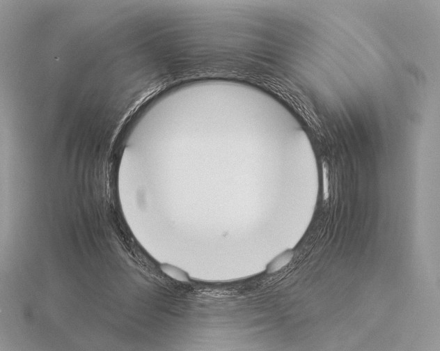 X0000115350300200912151342