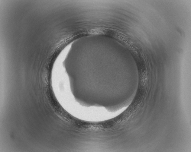 X0000115350303200912151342