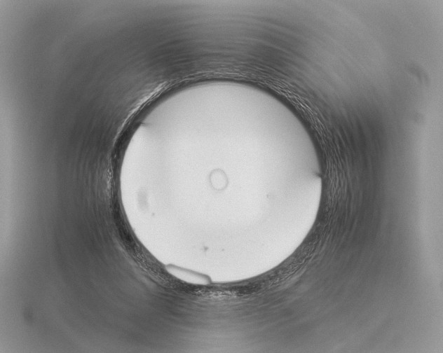 X0000115350304200912151342