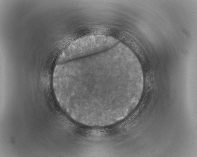 X0000115350305200912151342