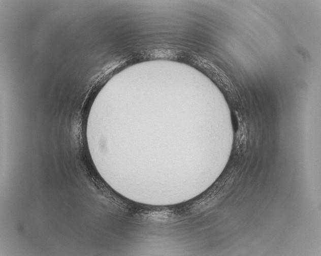 X0000115350306200912151342