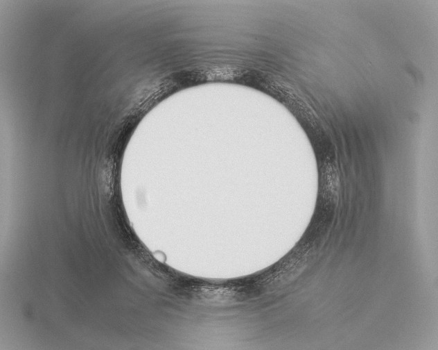 X0000115350311200912151342