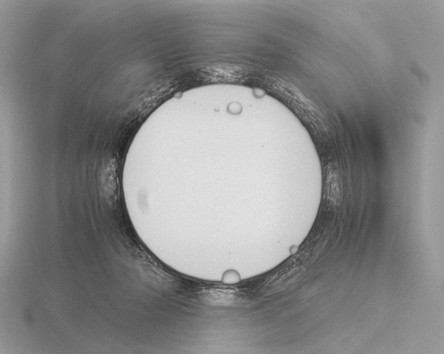 X0000115350318200912151342