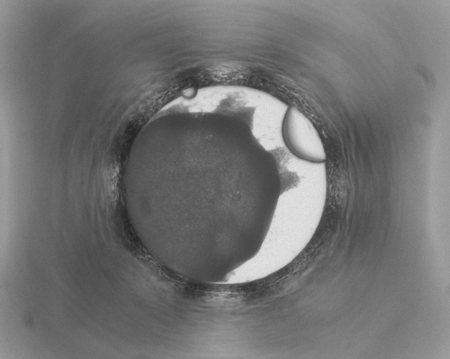 X0000115350319200912151342