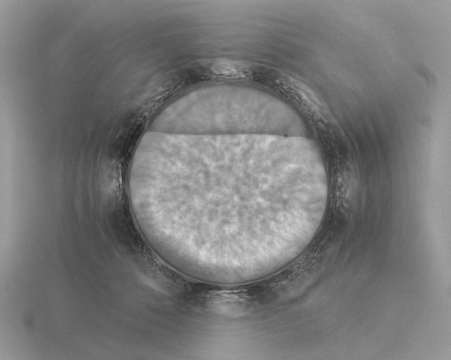 X0000115350320200912151342