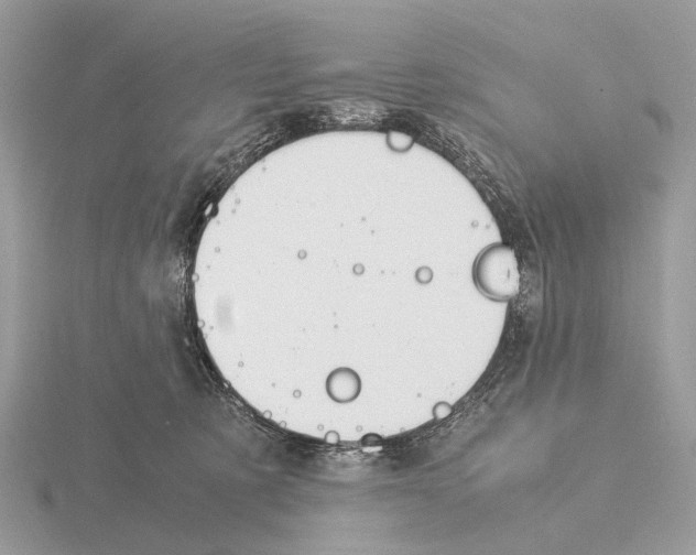 X0000115350321200912151342