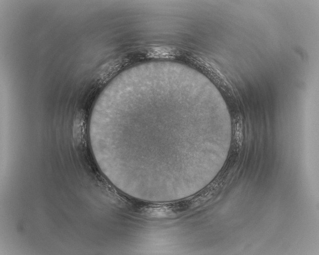 X0000115350322200912151342