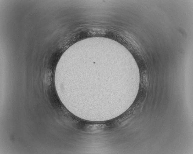 X0000115350323200912151342