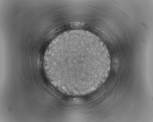 X0000115350324200912151342