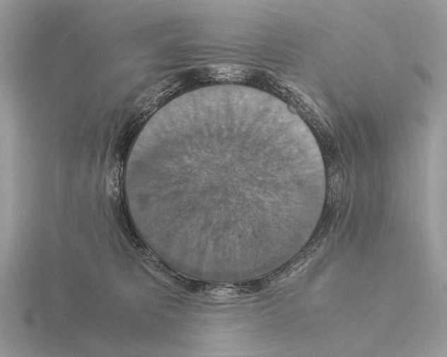 X0000115350325200912151342