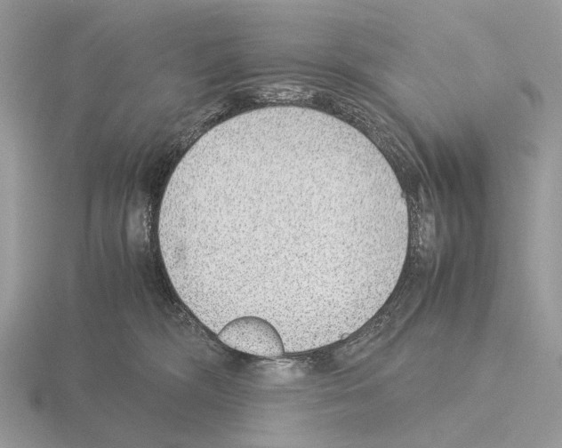 X0000115350326200912151342