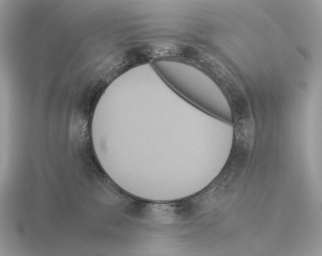 X0000115350327200912151342