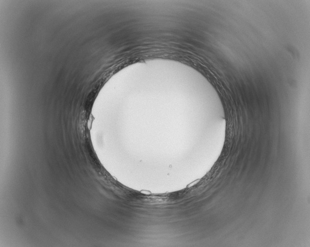 X0000115350328200912151342