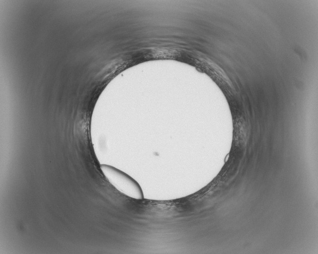 X0000115350329200912151342