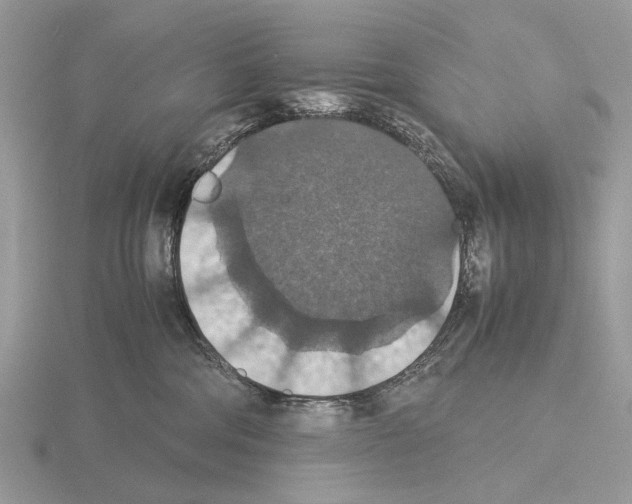 X0000115350330200912151342