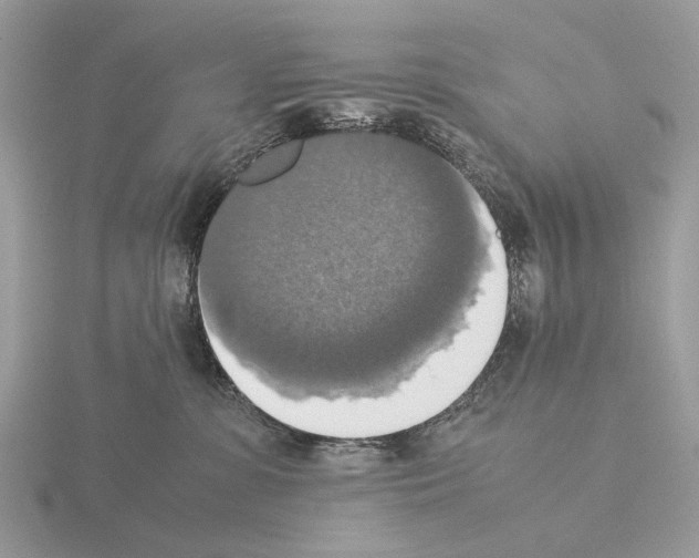 X0000115350331200912151341