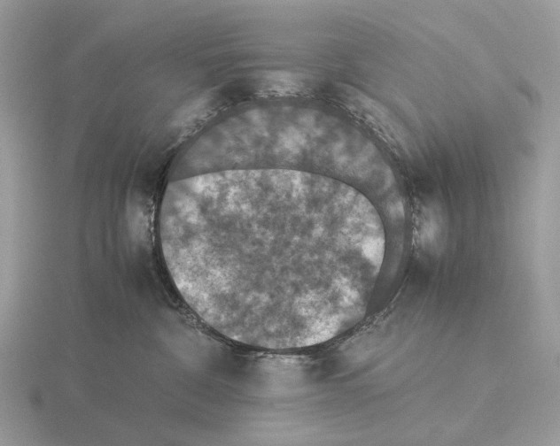 X0000115350332200912151341