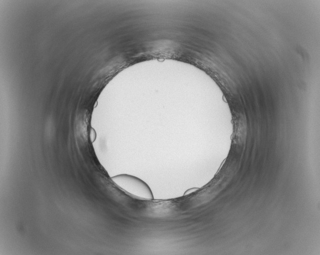 X0000115350334200912151341