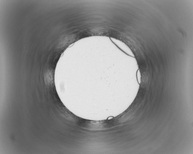 X0000115350335200912151341