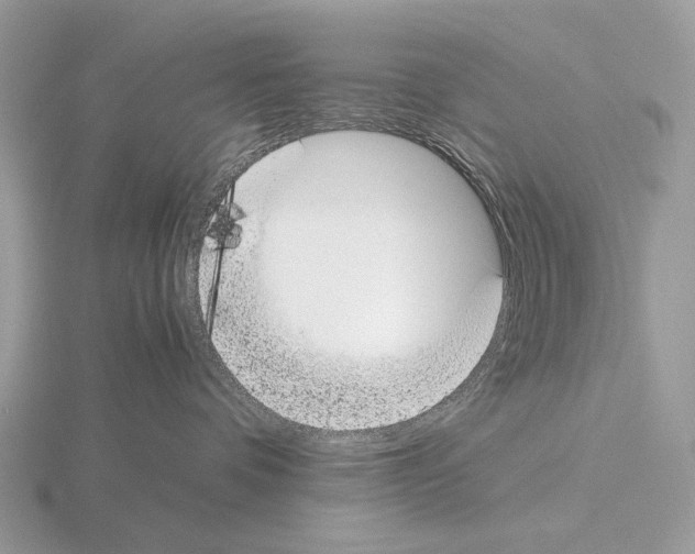 X0000115350336200912151341