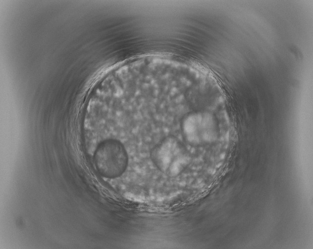 X0000115350337200912151340