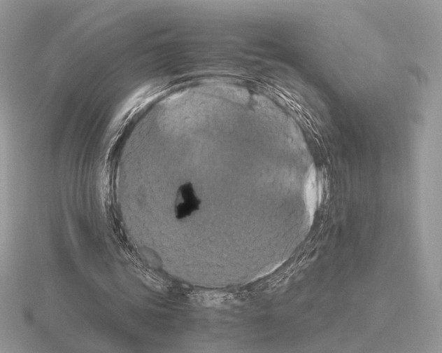 X0000115350339200912151341